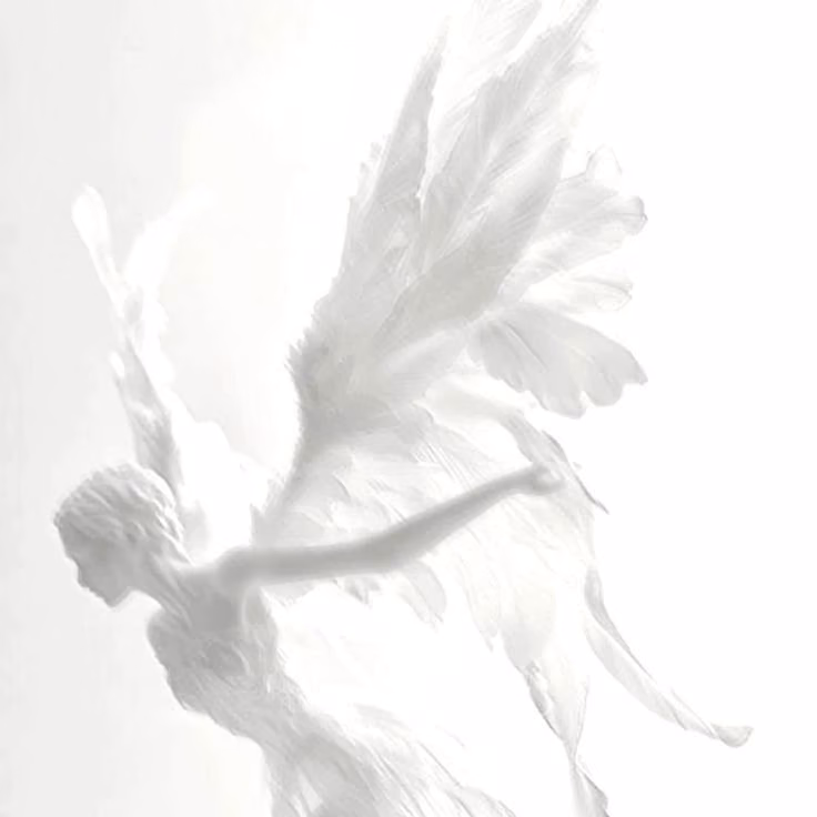 9c06b75e70232a71b5a04ae8ec226423.avif