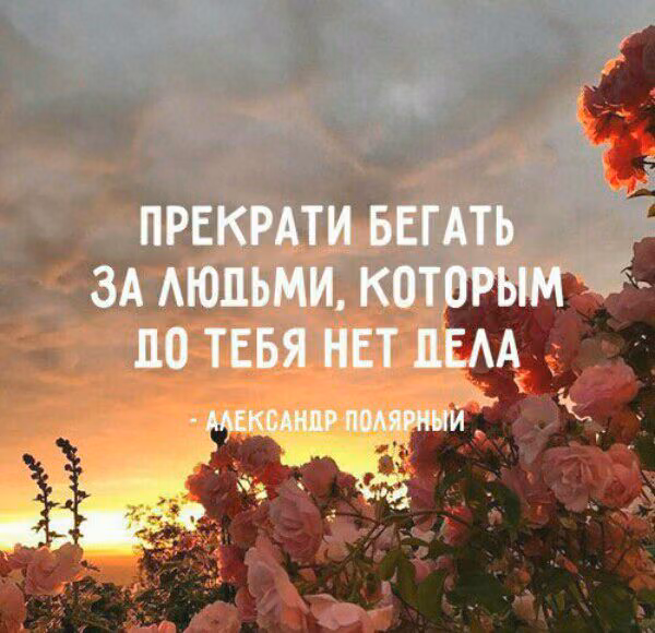 9c084bc5049fb661ce88198d3fafe2ee.jpg