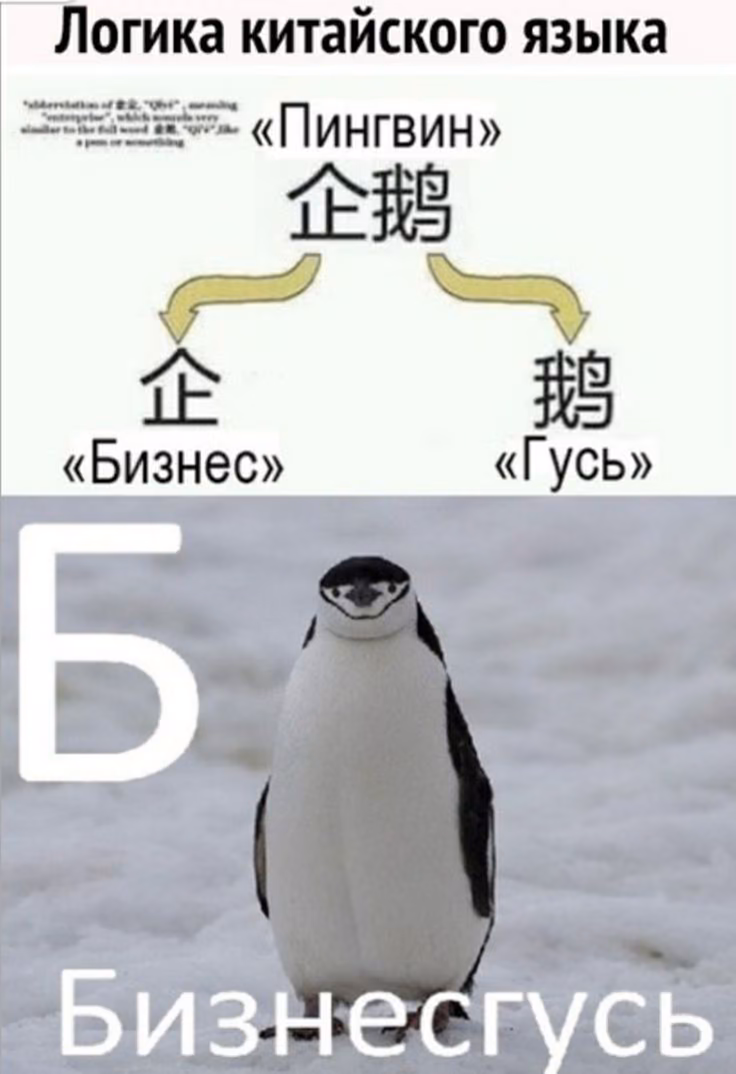 a1b68439261f5614d493d77b9124165f.jpg