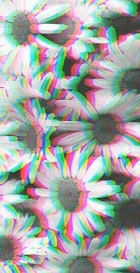 9c33cc1de9b68b0e7062f31c8b068553.jpg