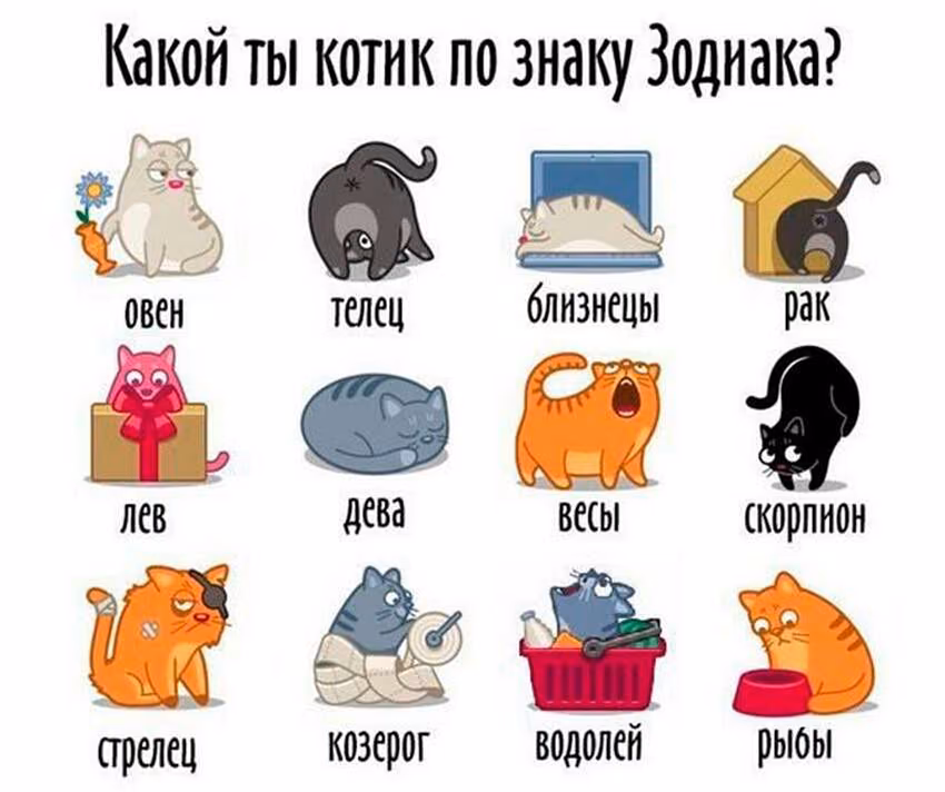 9c407ae030876468db22f6b31c97c6b0.avif