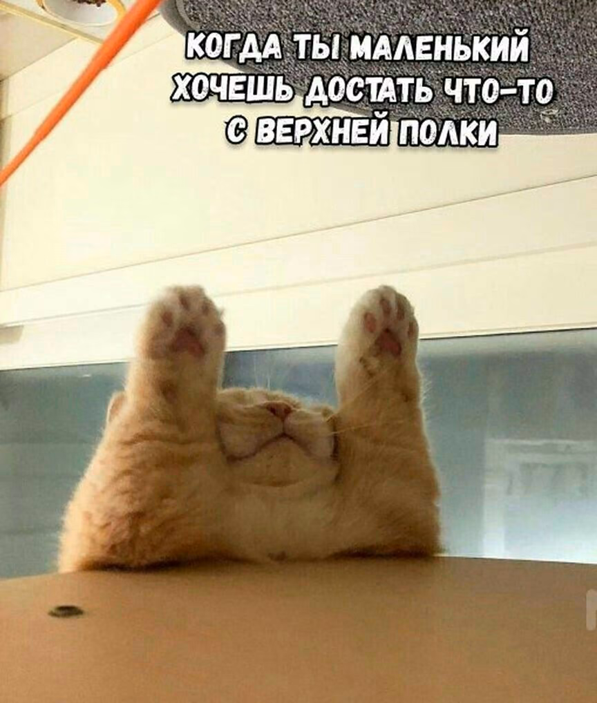 9c4a60eafca56ebd514a659e4e0b8e82.jpg
