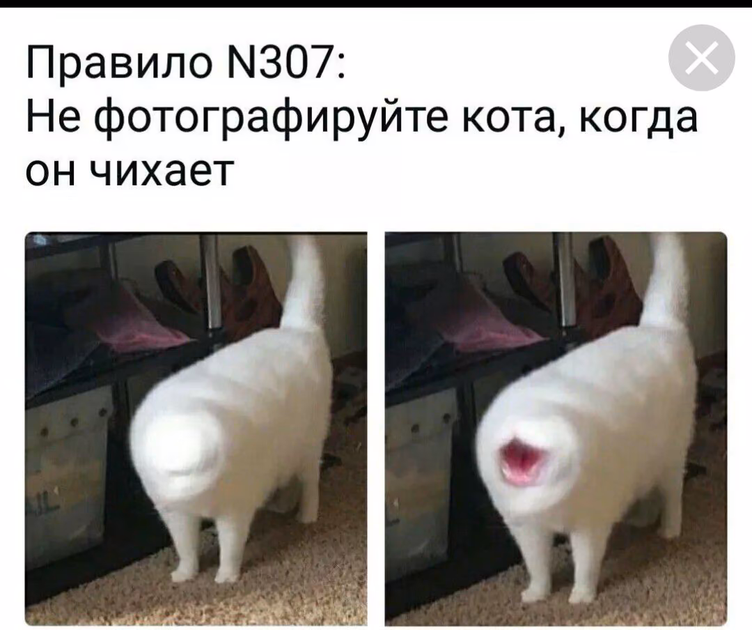 9c56d08d4e8acf9681104f0936b2d961.avif