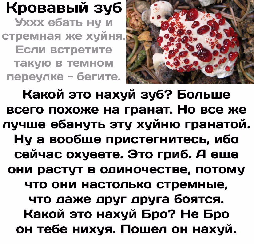 9c5f10d5ee917dee98e5a7eb91cbdf39.jpg