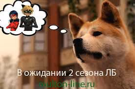 9c638c12806c0da47173d318f6555e03.avif