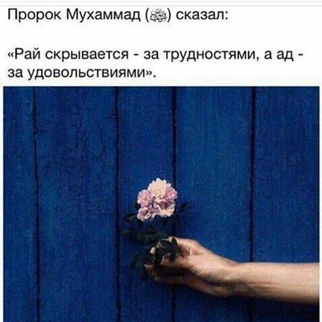 9c6d057f55ea073f1108a9127f176001.jpg