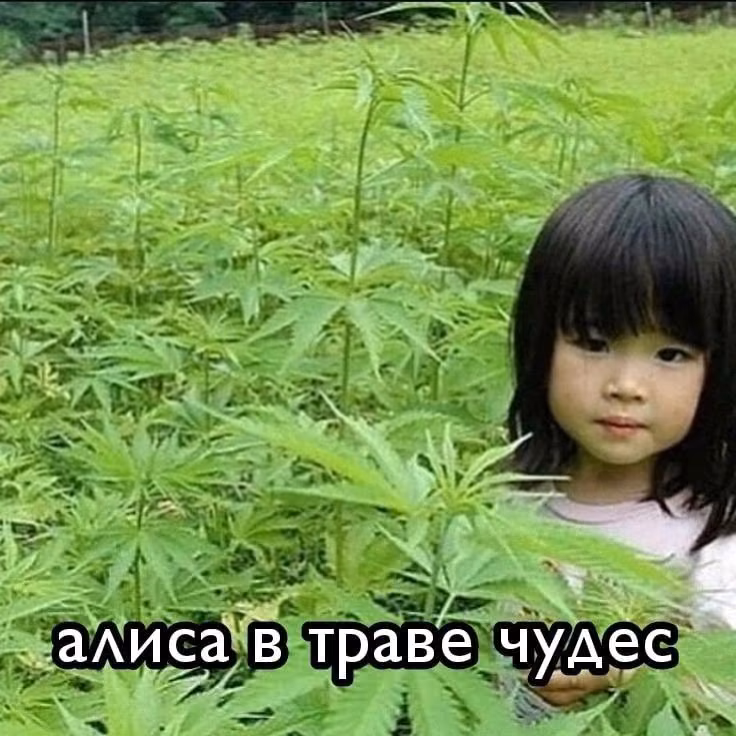 9c93432bf66b775f6e11fd8399850909.jpg