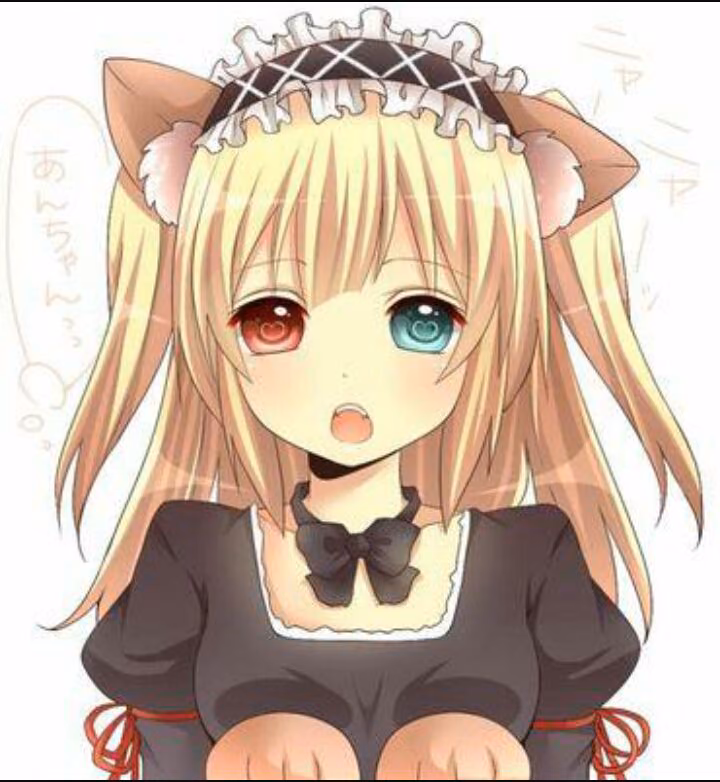 9caad3fab8d377f76a9b18ec5c7903b3.avif