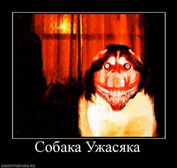 9cab2d6ebfaf6e891ee169db633240c3.jpg