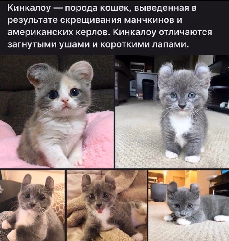 9cae054d41f1be4c8a546b339afdd652.jpg