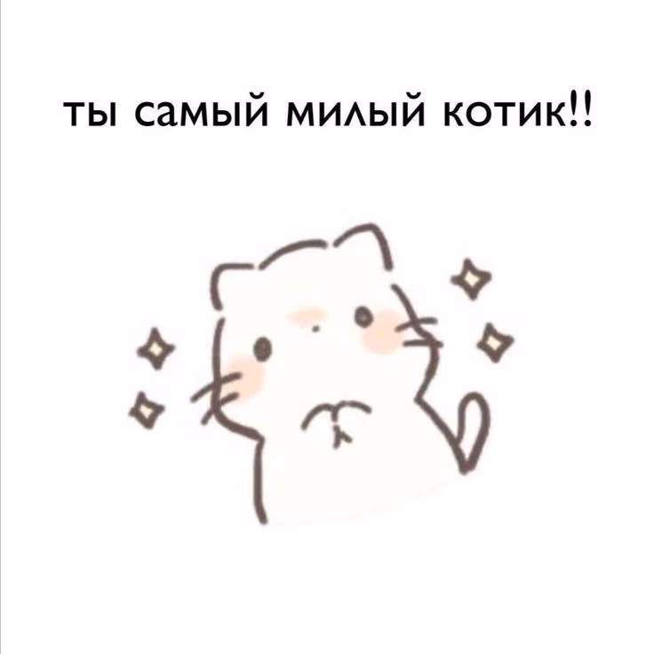9cbaa215f90f9e077cfa50bd6b0330e8.avif