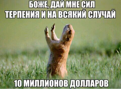 9cc058e619bdc64e43152a2acd1b71be.avif