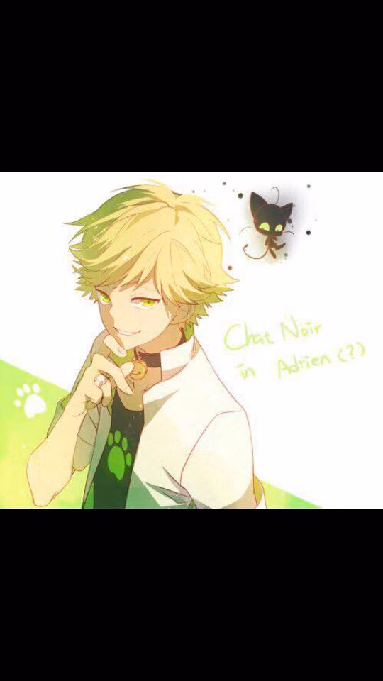 9cd4ae1c251d48d0928d3bae6283230f.avif