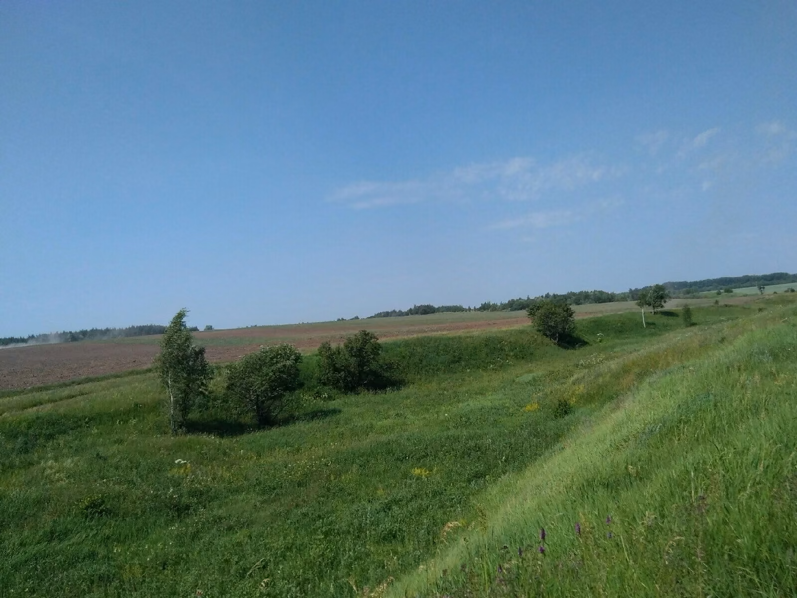 9cda218442278ecfa7f74930b7122160.jpg