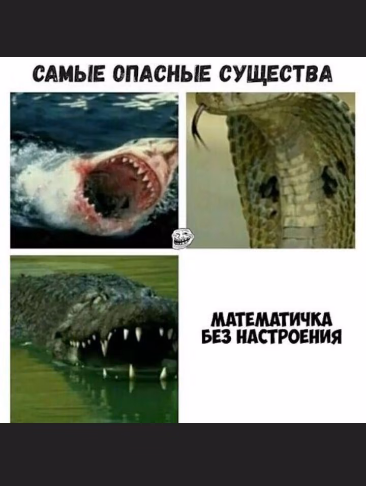 9cfd50e6545cd44606b6055101ceece1.jpg
