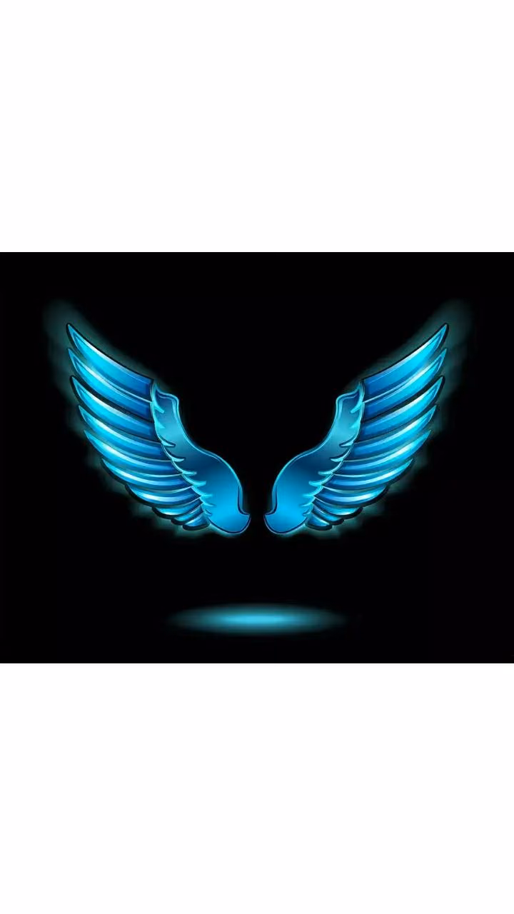 9d088936a73b06894b3f288b734d4654.avif