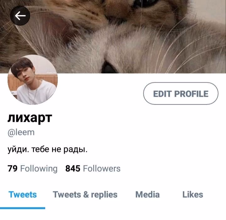 9d0cad8c20ad8acb172abc02c4c435c3.jpg