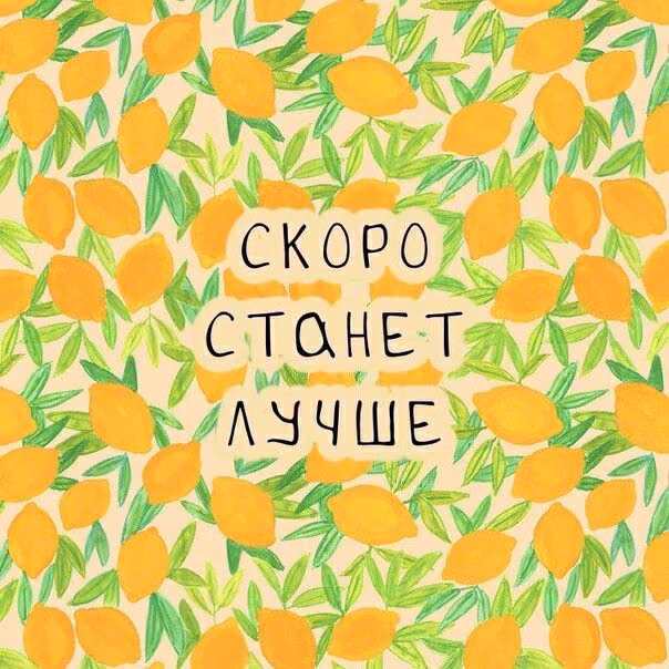 9d0d51964740cbd59b0113228d605b49.avif