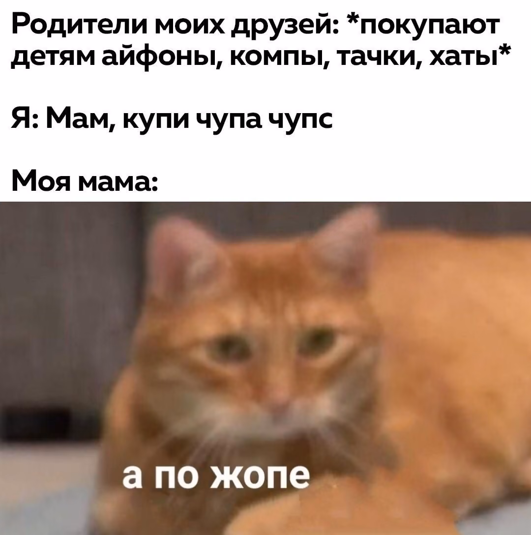 f84905c75ce97048e7193ffa8b9b17e0.jpg
