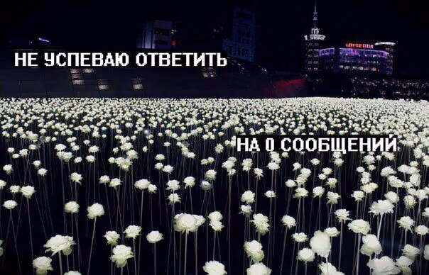 9d26c000de3ff73d1220833cb06b2d19.jpg