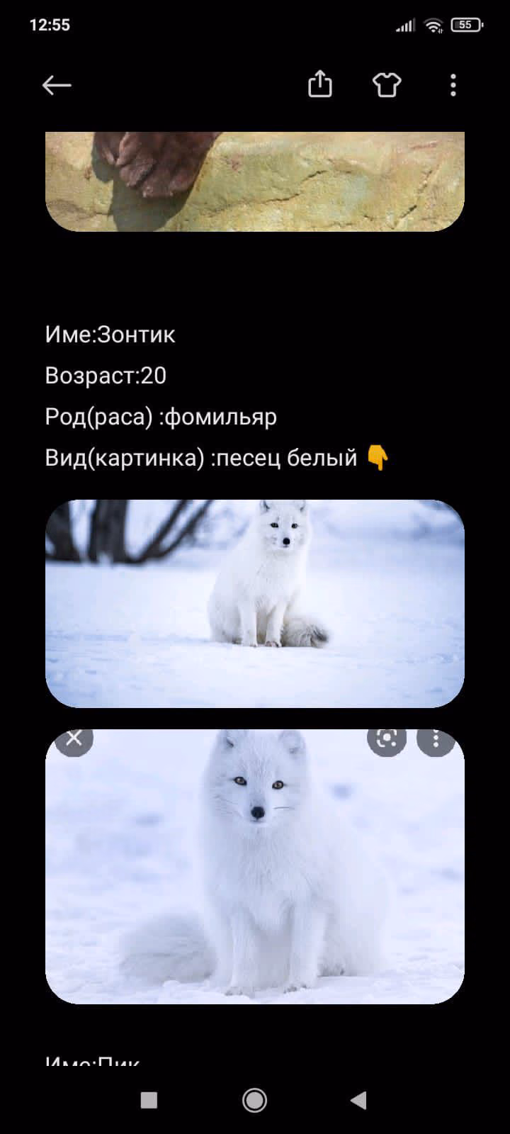 9d27fbd513de0bddf2ce889015fd619d.jpg