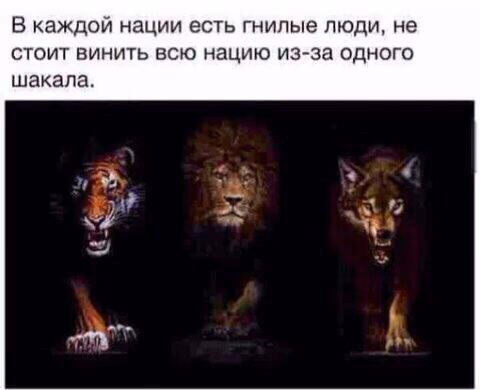 9d2bf87a080ade9b4482d5bfd9529515.jpg
