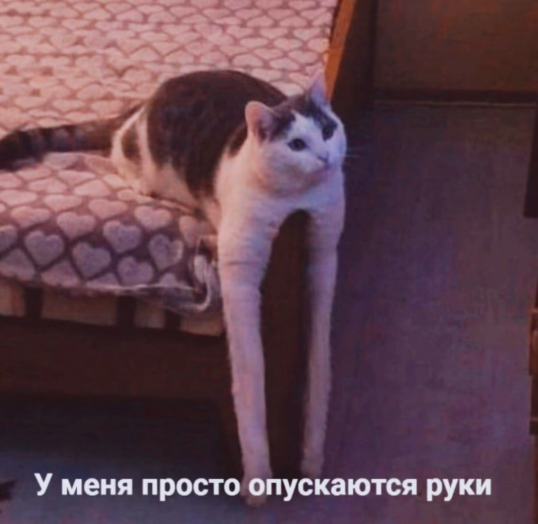 9d3154aa2863112b37ca4afc64ca5a00.jpg