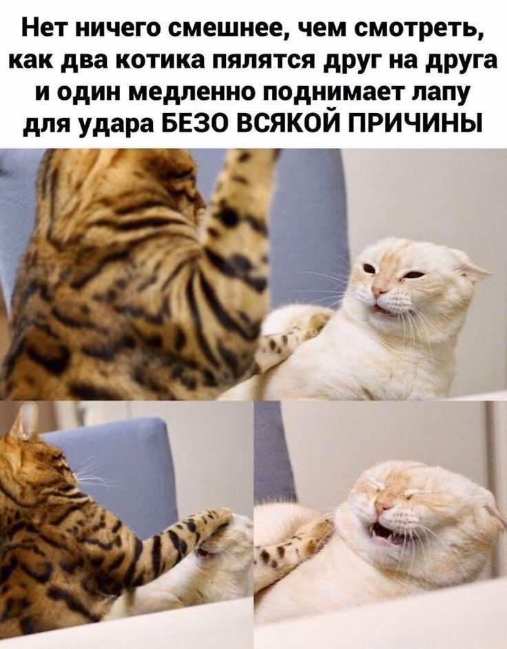 9d38f03e9eb63aa64886abe3e6af6904.jpg