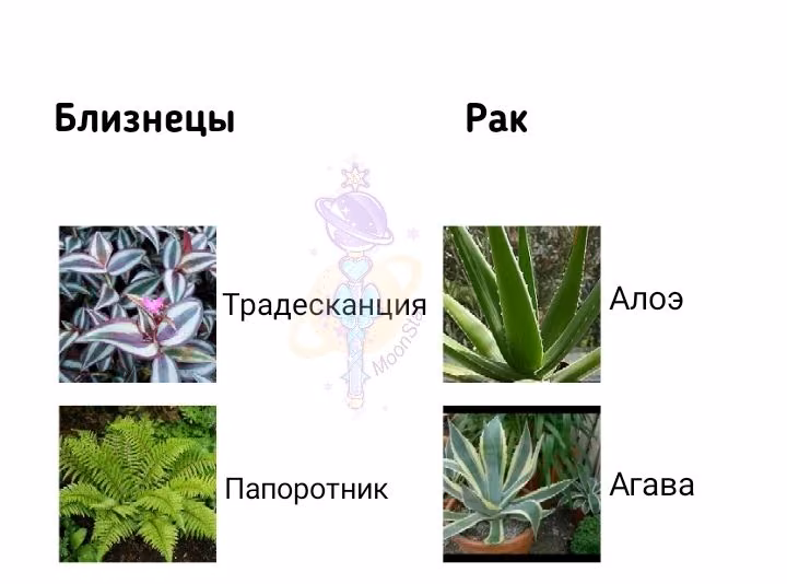 9d3b7b269d11ed4b25f5aa00a745a64d.avif