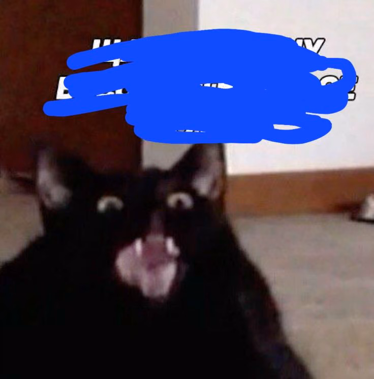 26fbfebdff258664685cfb4e6e6e59a7.jpg