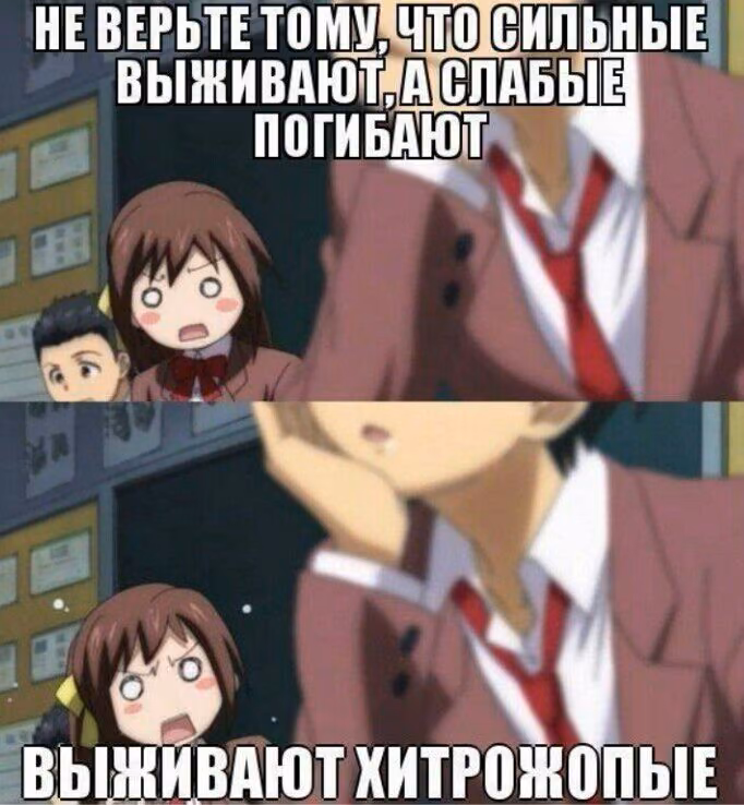 9d75369a46ce9ea2364228c9b173e9b6.jpg