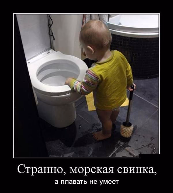 9d78427537a81197b959505ebc49bd42.jpg