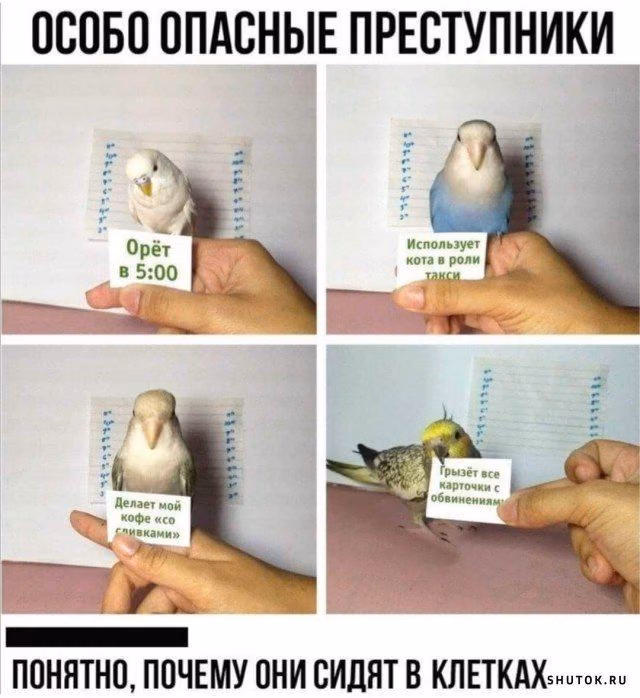 9d8b47c890d0d2f9eca3829304aa83e5.jpg