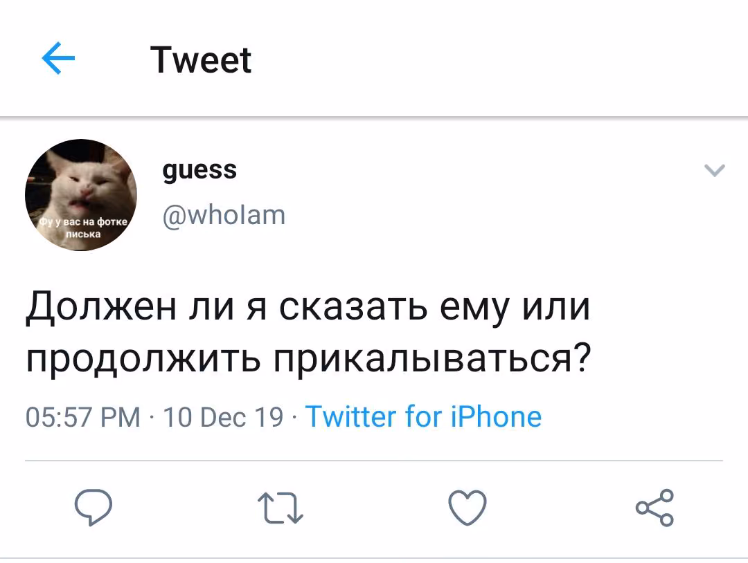 9d8cfafdb1d3068a56c4cd310d3e843d.avif