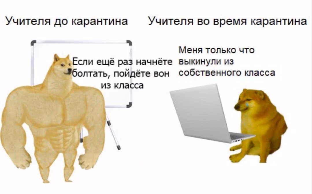 9d8da195b8488eb758cfe9296c1c9811.avif