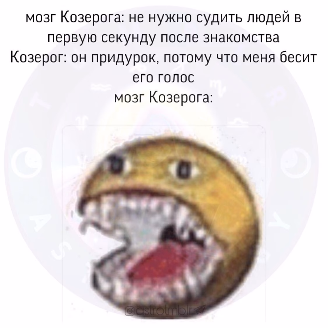 9d995bc7a69ab5516dbf11134fff535e.avif