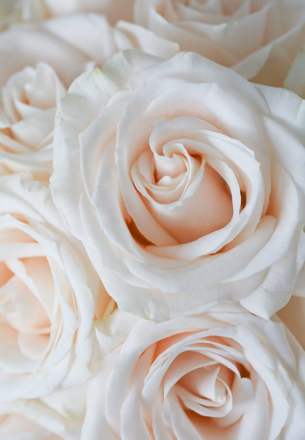 9dafbb552c5e023942ff3c0caf767311.avif