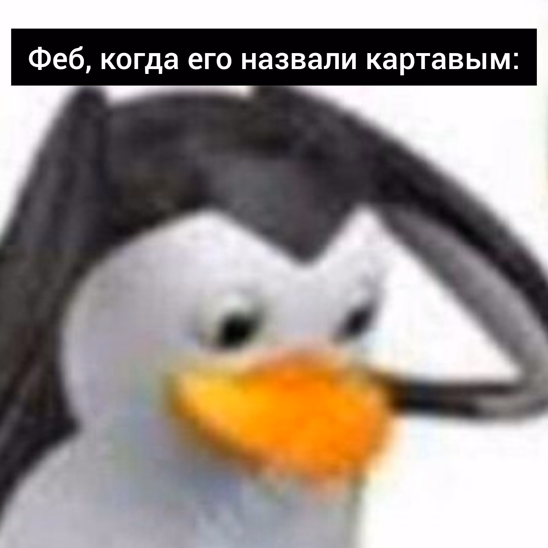 9db41795013fe043c1b5e66d2df4d870.avif