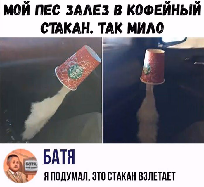 9dc04c03203b5caa54754fbb7d960000.avif