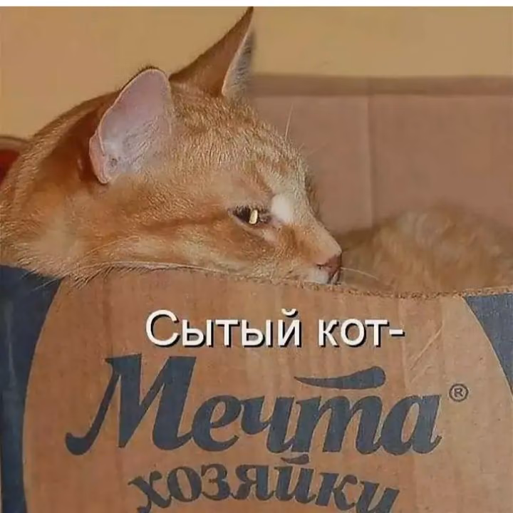 9e04b615e708629915f9de84ae4b4d34.jpg