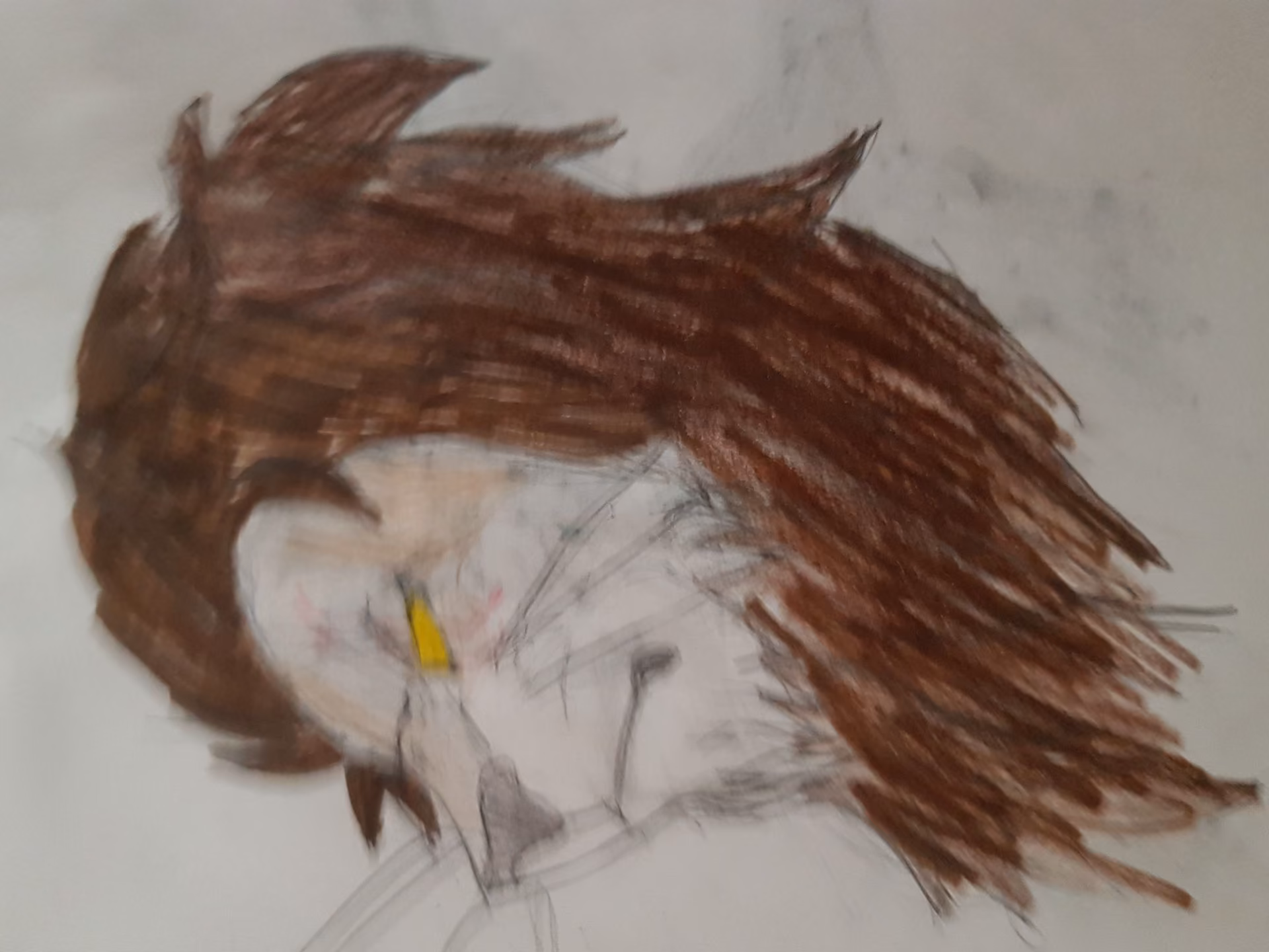 9e070ae0ec885e6e1fd355d747ab62d1.avif