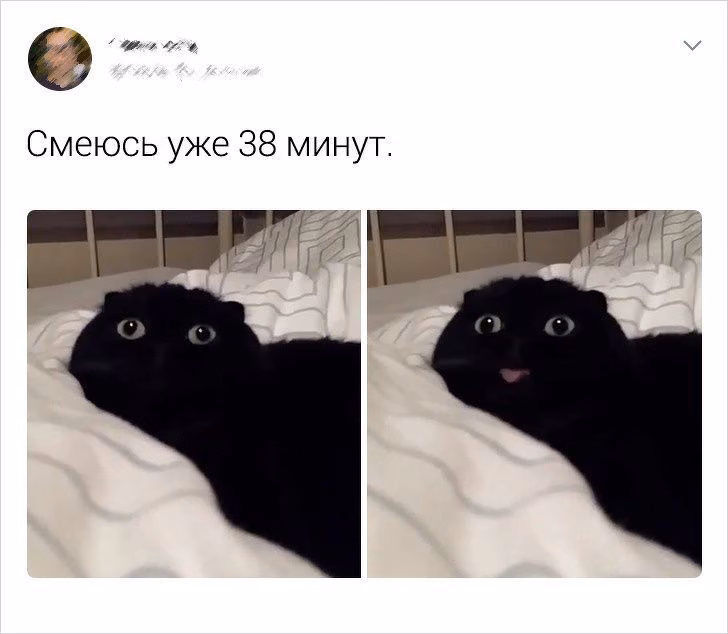 9e0c59427b70f264f597be545ea2ab3b.avif