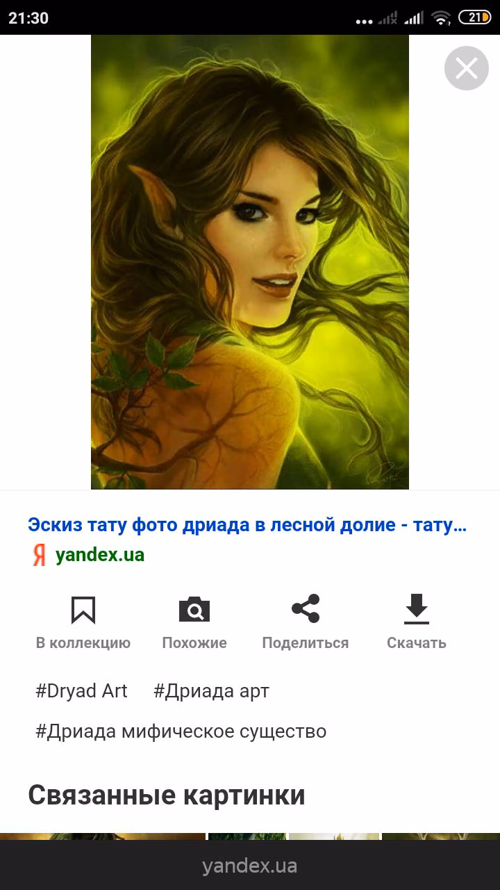 9e0e1ac1ca94355f002a7b6bc9256374.avif