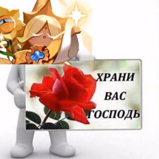 9e13845d15fbd6362a7fe227699642b1.avif