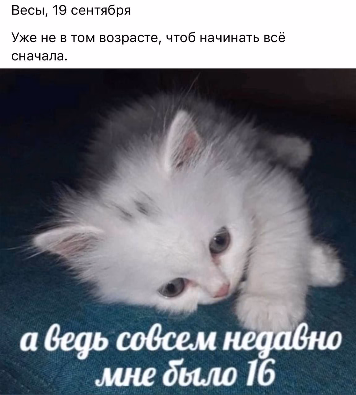 9e17bb8b6c8b12dc144a10c58140daa2.jpg