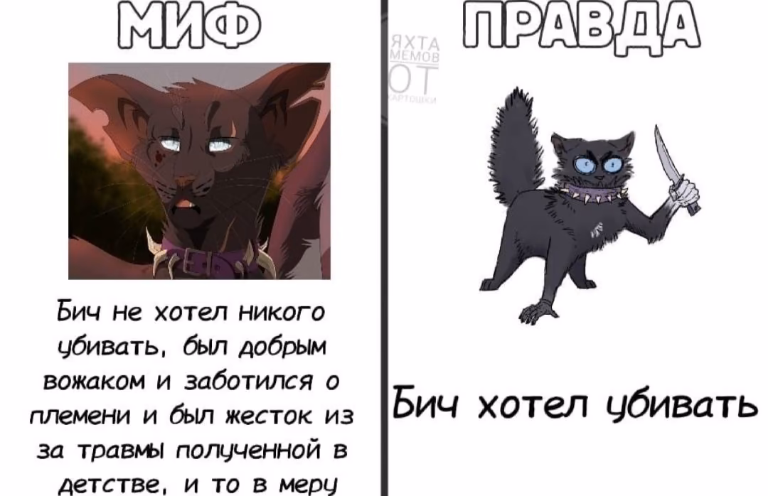 9e2d796683f348fc04e53dc72fcba408.avif