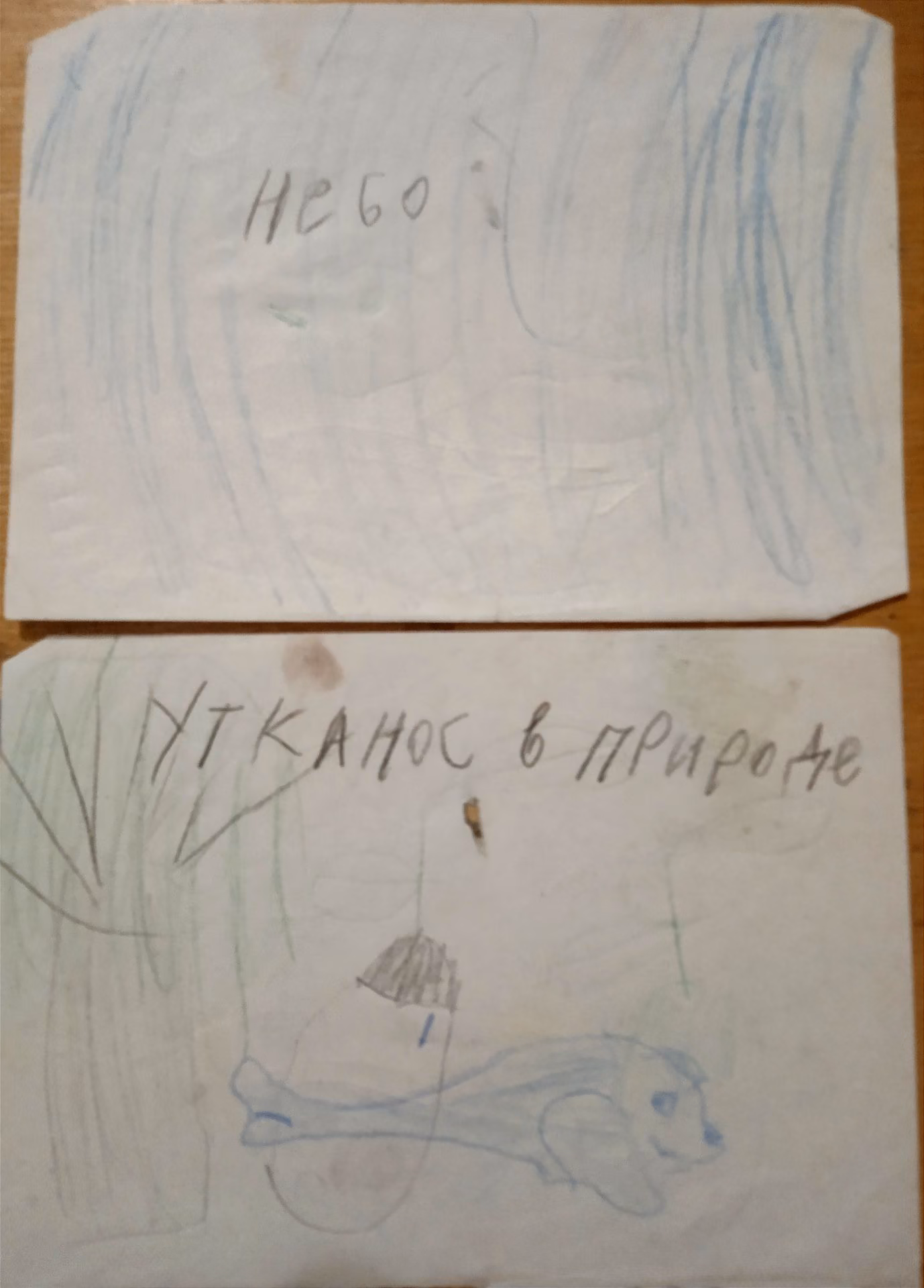 9e377adaa6f6a221968feb84dbd3a2e7.jpg