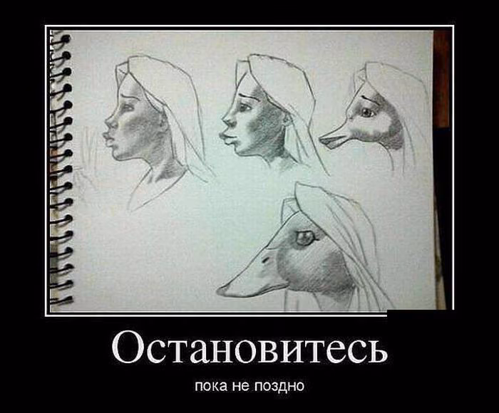 9e41094e418e733bc8e5e2317e429c79.avif