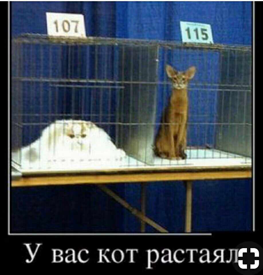 9e578f0608a1798e7e57a9fed36a7c03.jpg