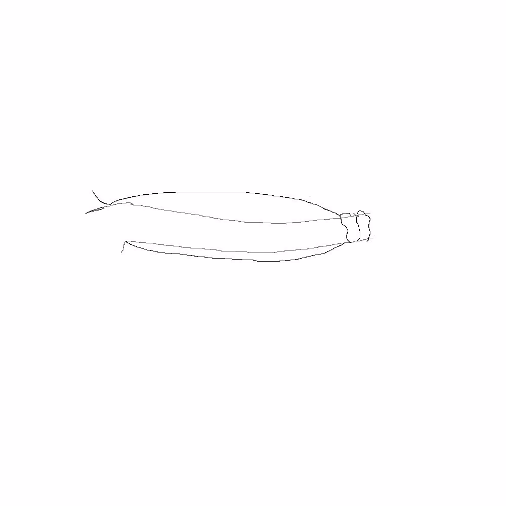 9e58b8b8ecf675ce7eaa5a544f37d250.jpg